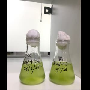 Innovation Laboratory