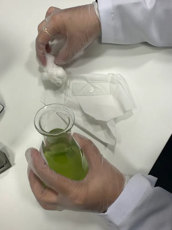 Innovation Laboratory