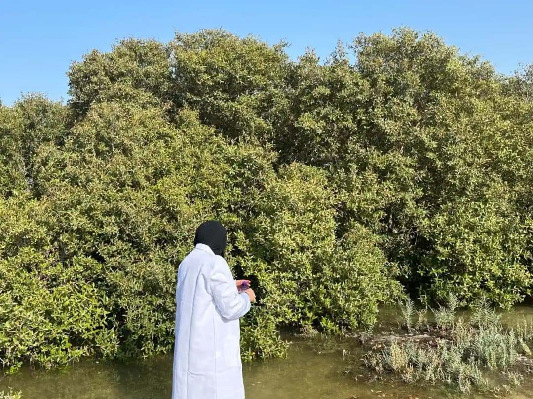 Biomass Production Utilization