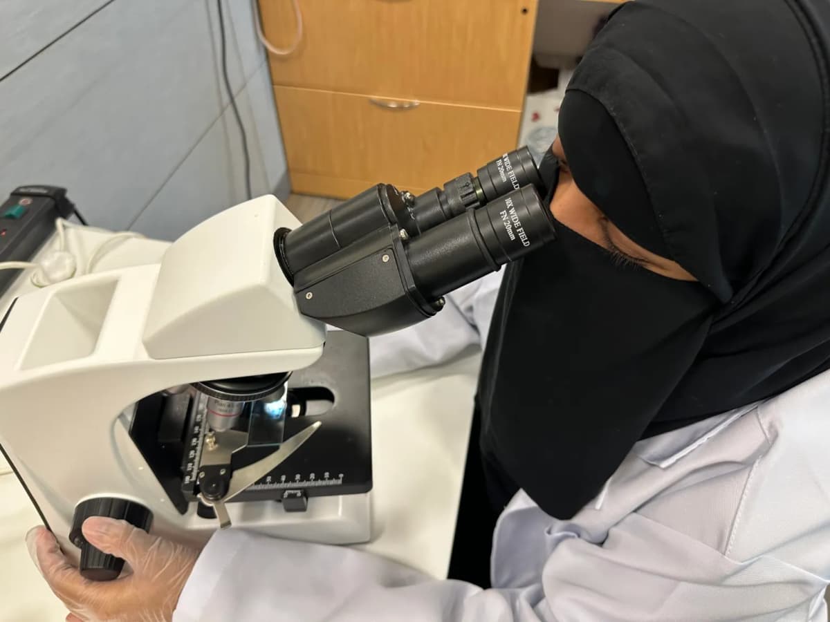 Innovation Laboratory