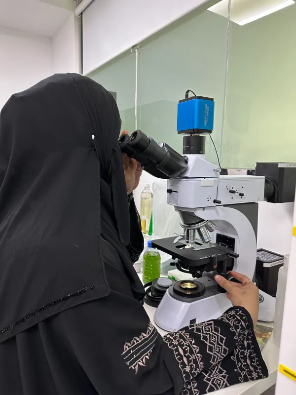 Innovation Laboratory