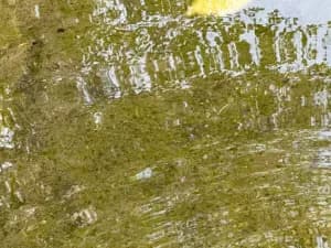 Research and Innovation