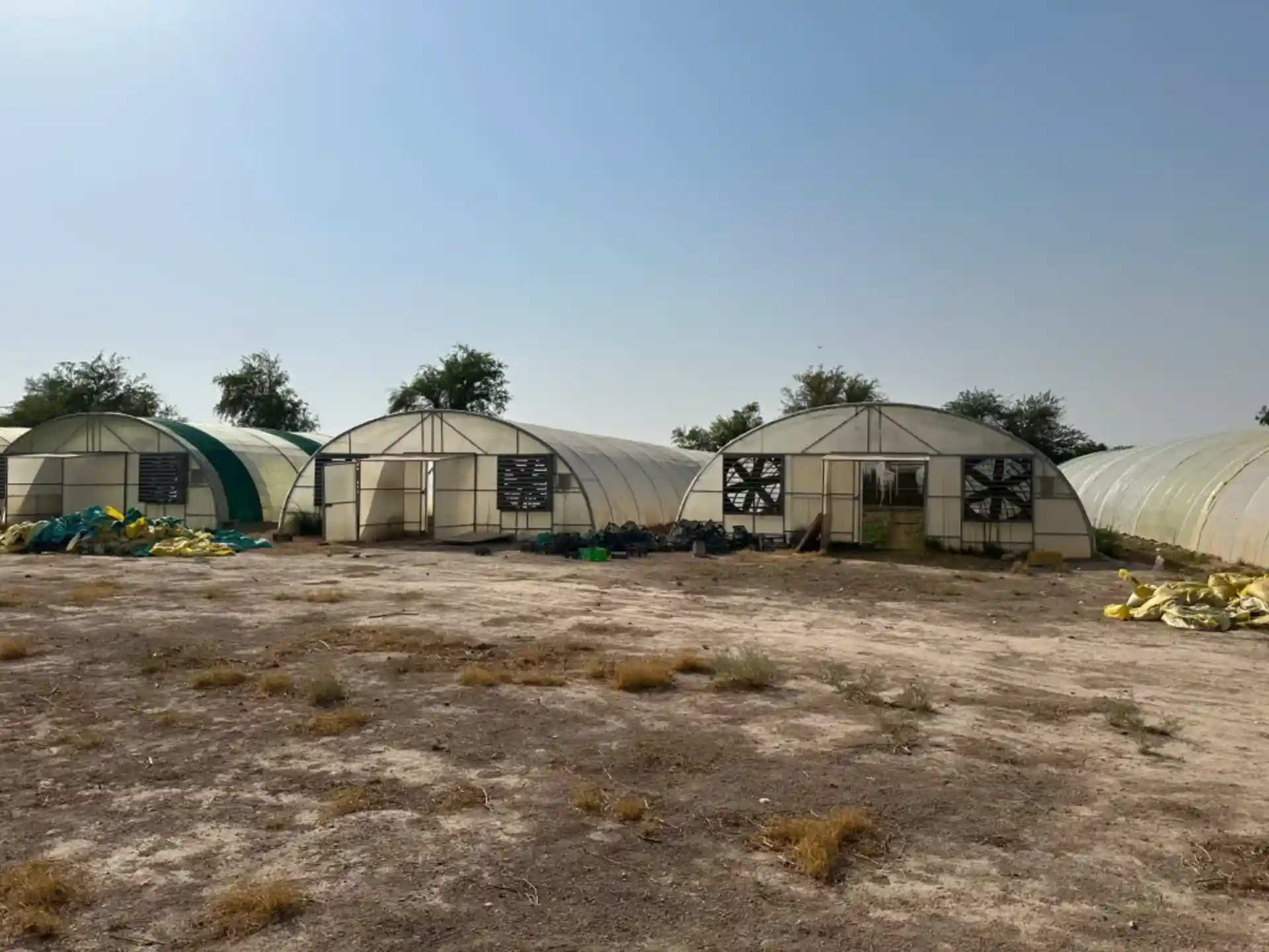 Research and Innovation